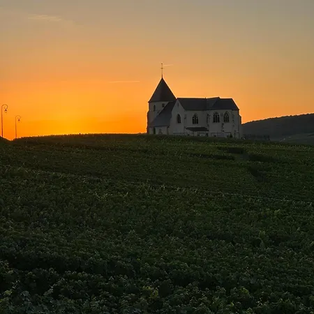 Au Coeur Du Terroir Champenois Villa Chavot-Courcourt